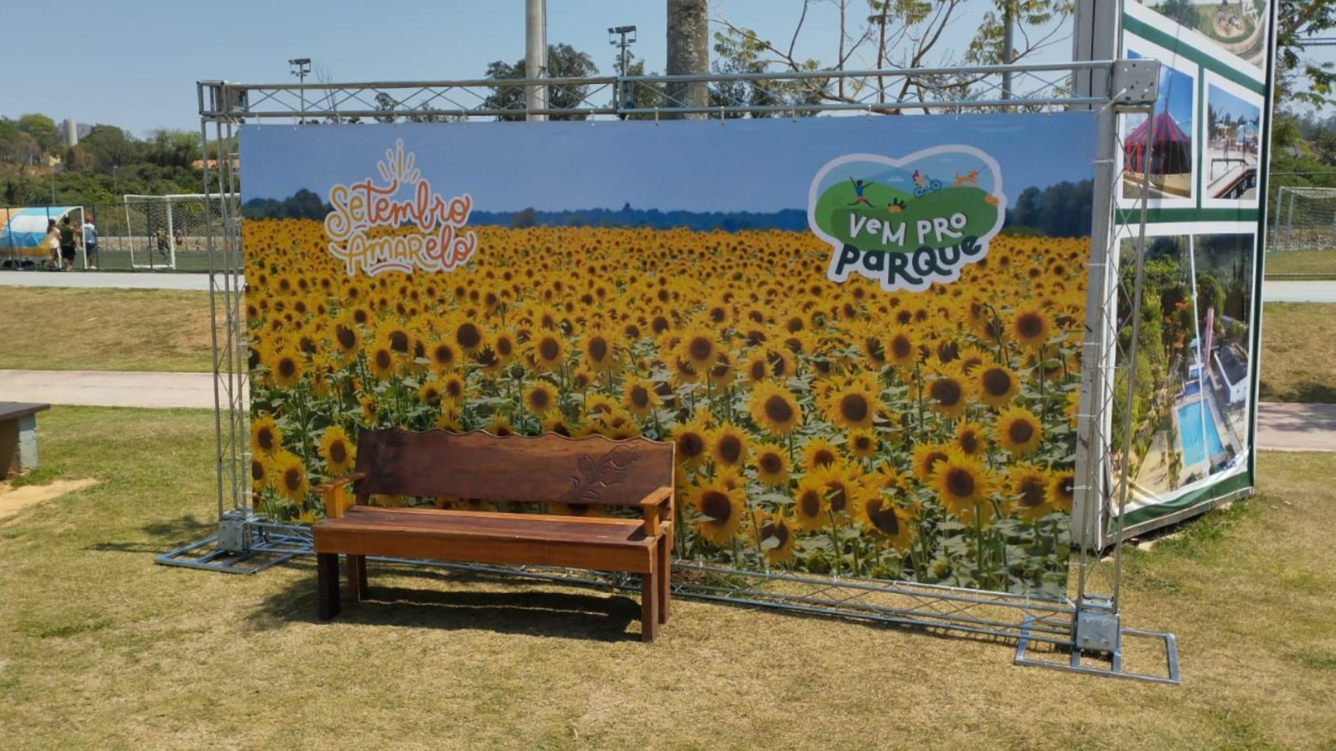 Backdrop