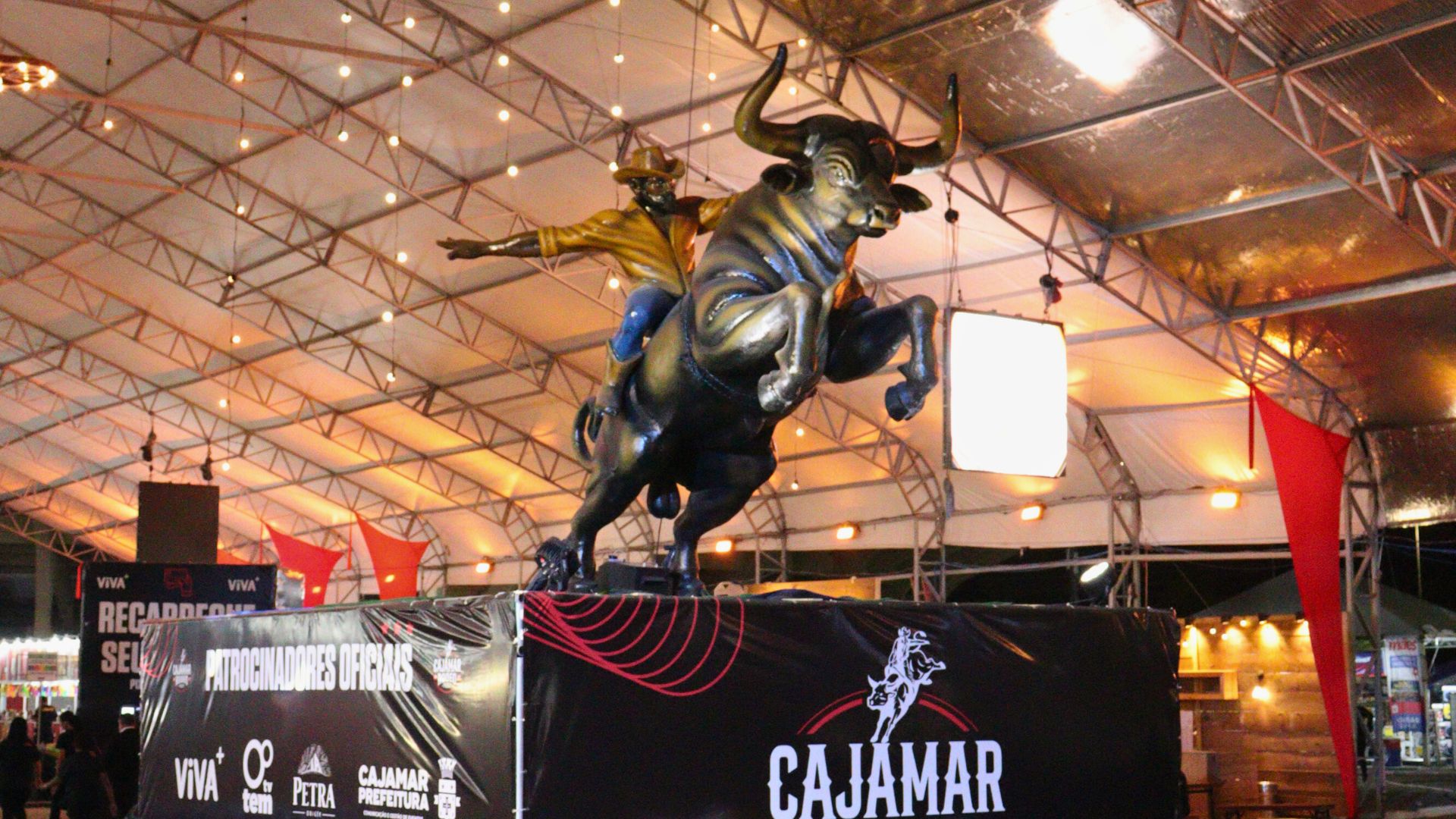 EXTINTORES DE INCÊNDIO (15)